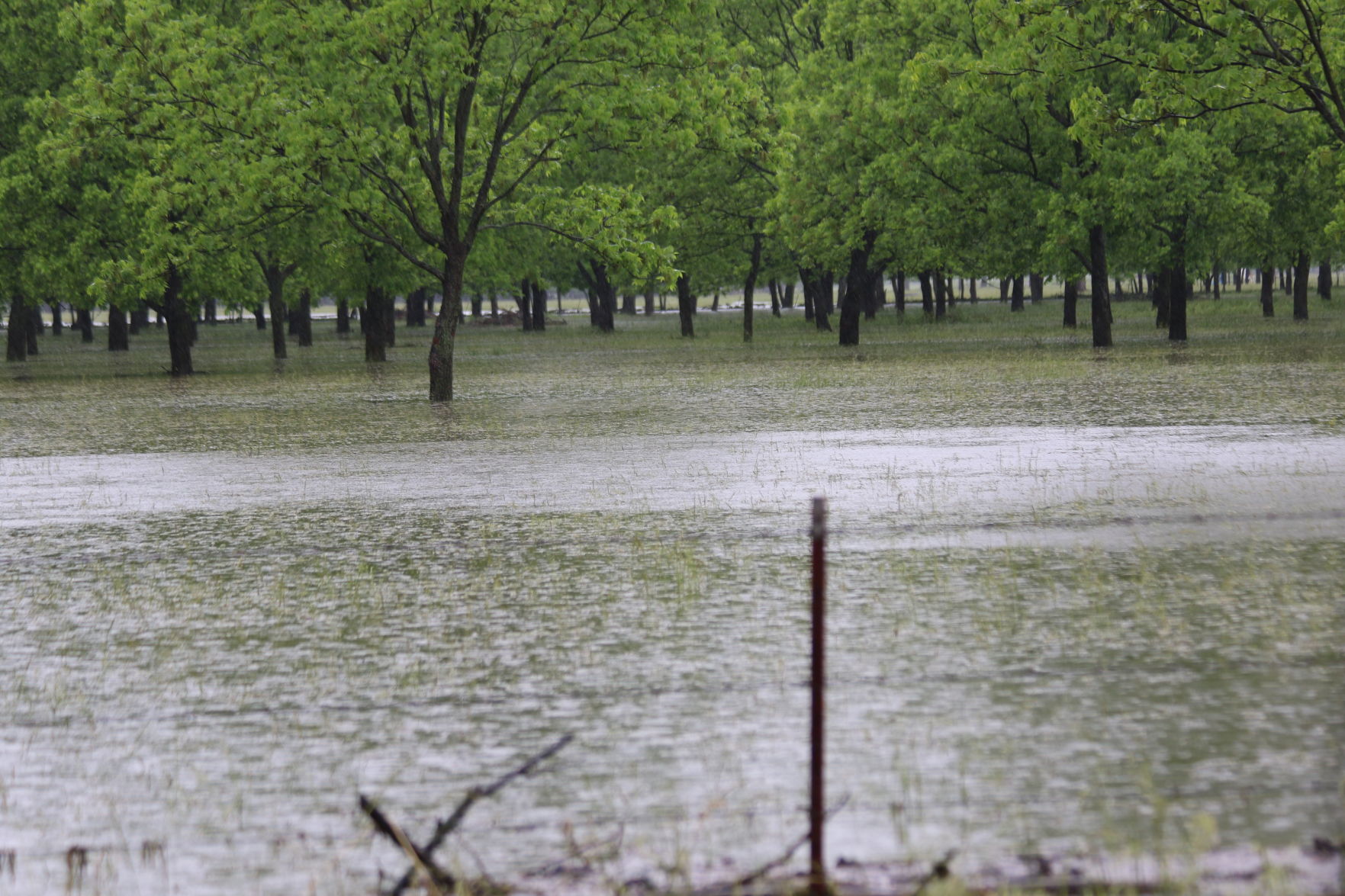 Skiatook Flooding